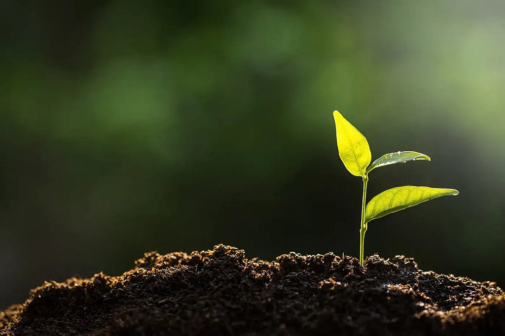 A seed naturally grows